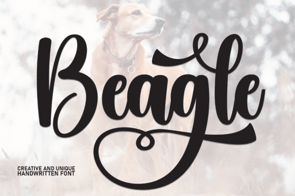 Beagle: The Perfect Font for Your Brand's New Look