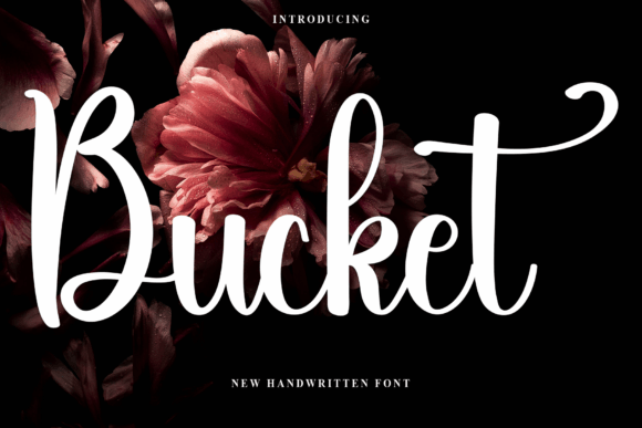 Discovering Bucket: A Handwritten Font for Editorial Elegance